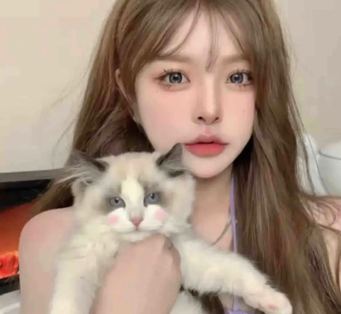 江北温柔乖巧小妹妹