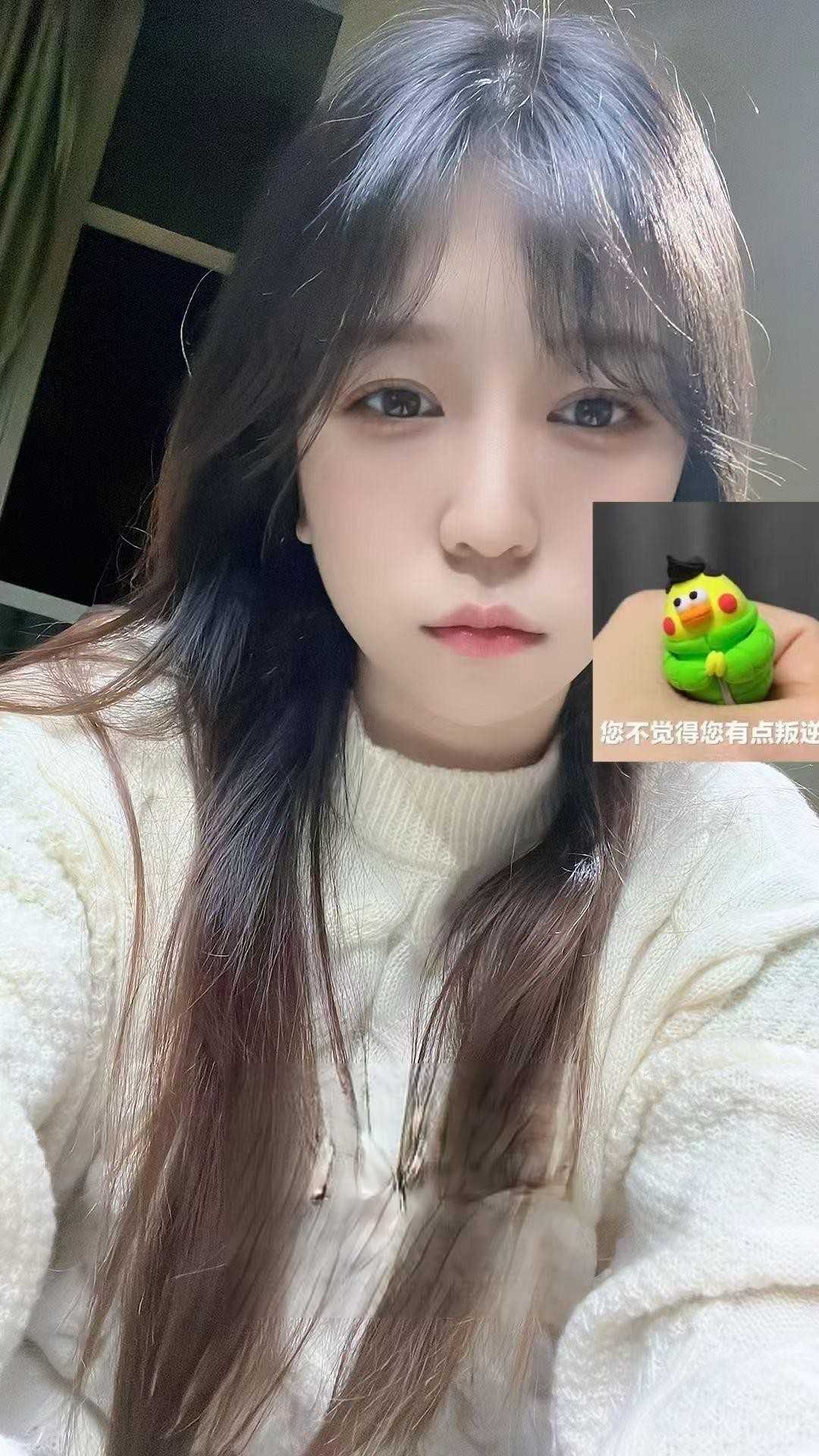 上海黄浦小苹果