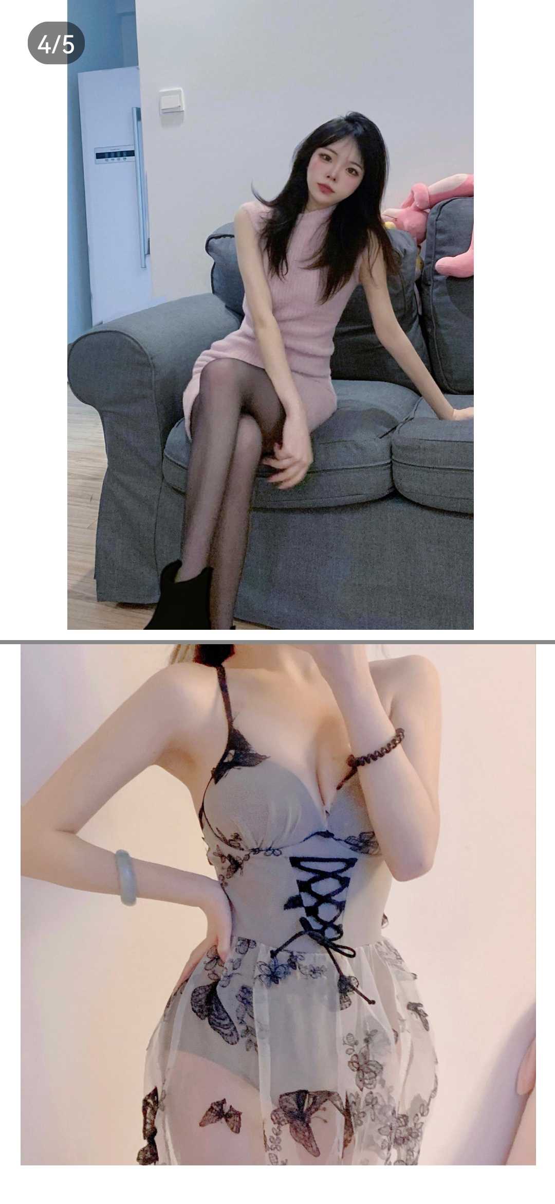 姑苏区俏皮小野猫